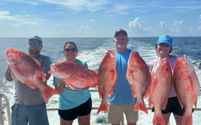 How Fishing Guides Should Actually Think About Google Ads Budgets